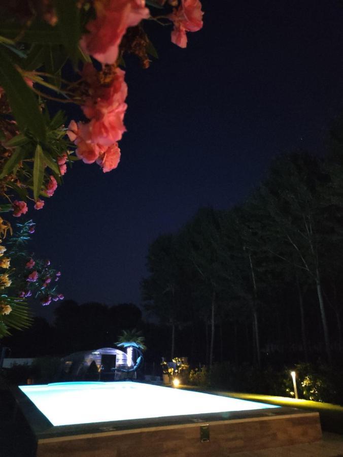Gaiba Rb Bed & Breakfast المظهر الخارجي الصورة