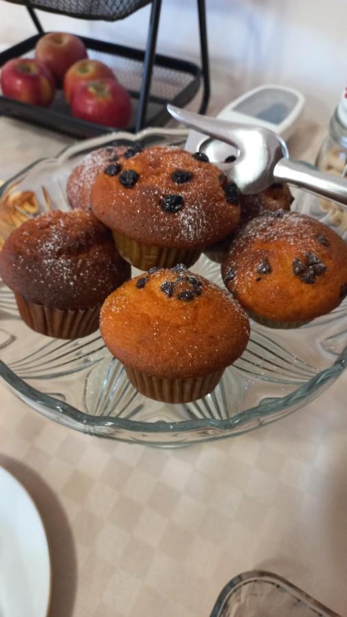 Gaiba Rb Bed & Breakfast المظهر الخارجي الصورة
